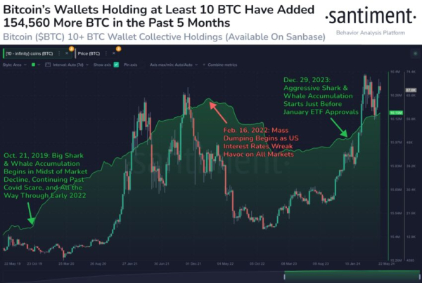 Биткоин (BTC) повторяет паттерны бычьего рынка 2015 года