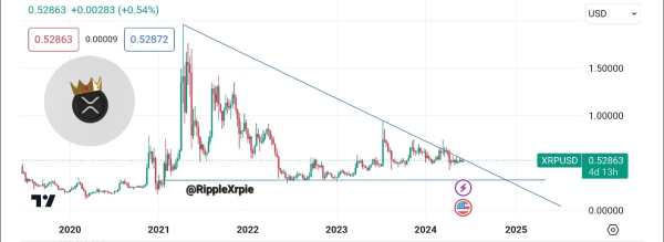 Цена XRP достигла колоссального роста на 63 000%