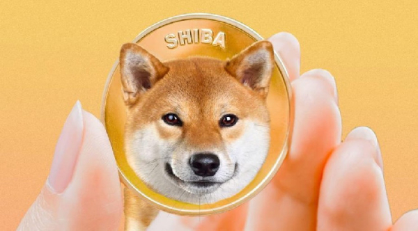 Более 10 000 подписей собрала петиция о выпуске Shiba Inu-ETF