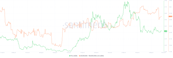 Почему будущее Cardano (ADA) зависит от его инвесторов