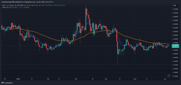 Цена XRP достигла колоссального роста на 63 000%