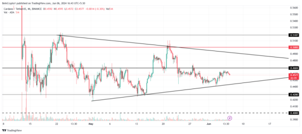 Почему будущее Cardano (ADA) зависит от его инвесторов