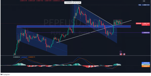 К сентябрю 2024 года токен-мем PEPE может вырасти на 80%