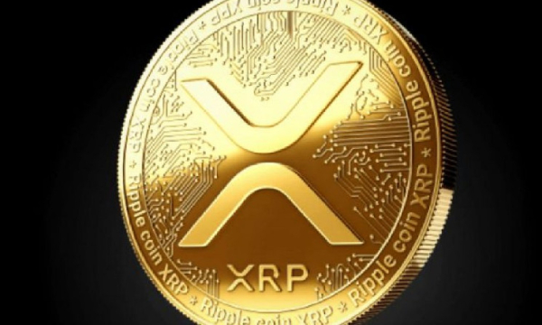 51,59 миллиарда XRP: мега-держатели XRP достигли важного рубежа