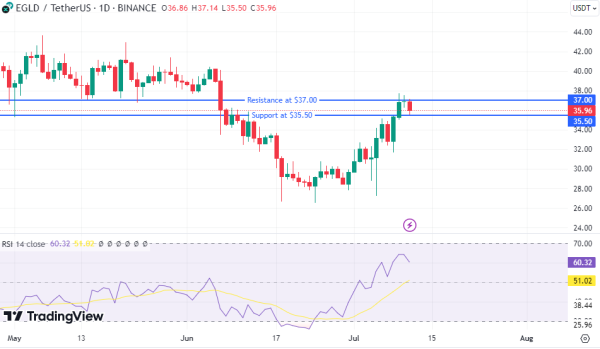 MultiversX (EGLD) изо всех сил пытается сохранить прежний рост после падения на 4%