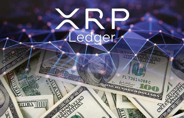 
Во втором квартале транзакции в реестре XRP Ledger упали на 65,6%                