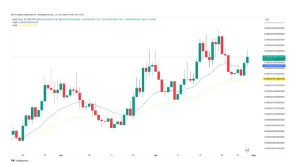 Эксперты TheBlock прогнозируют рост 3 мемкоинам в августе