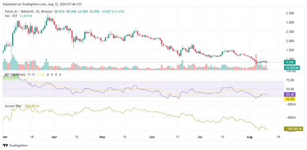 
Ценовое падение токена FET может быть временным, не стоит продавать                