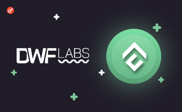 CEO DWF Labs анонсировал инвестиции в новый мемкоин