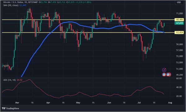 Конец президентской гонки Байдена и эфир-ETF: что будет с криптовалютами