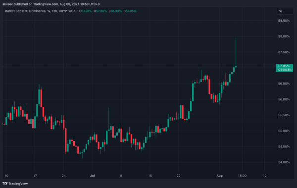 Крипторынок обвалился на 20%: биткоин упал ниже $49 000