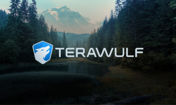 Добыча биткоинов TeraWulf упала на 21% во втором квартале